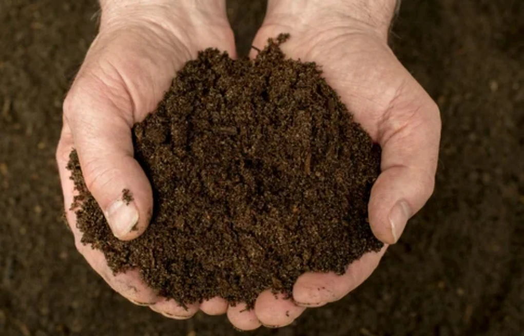 Compost fin 0-15 mm naturel