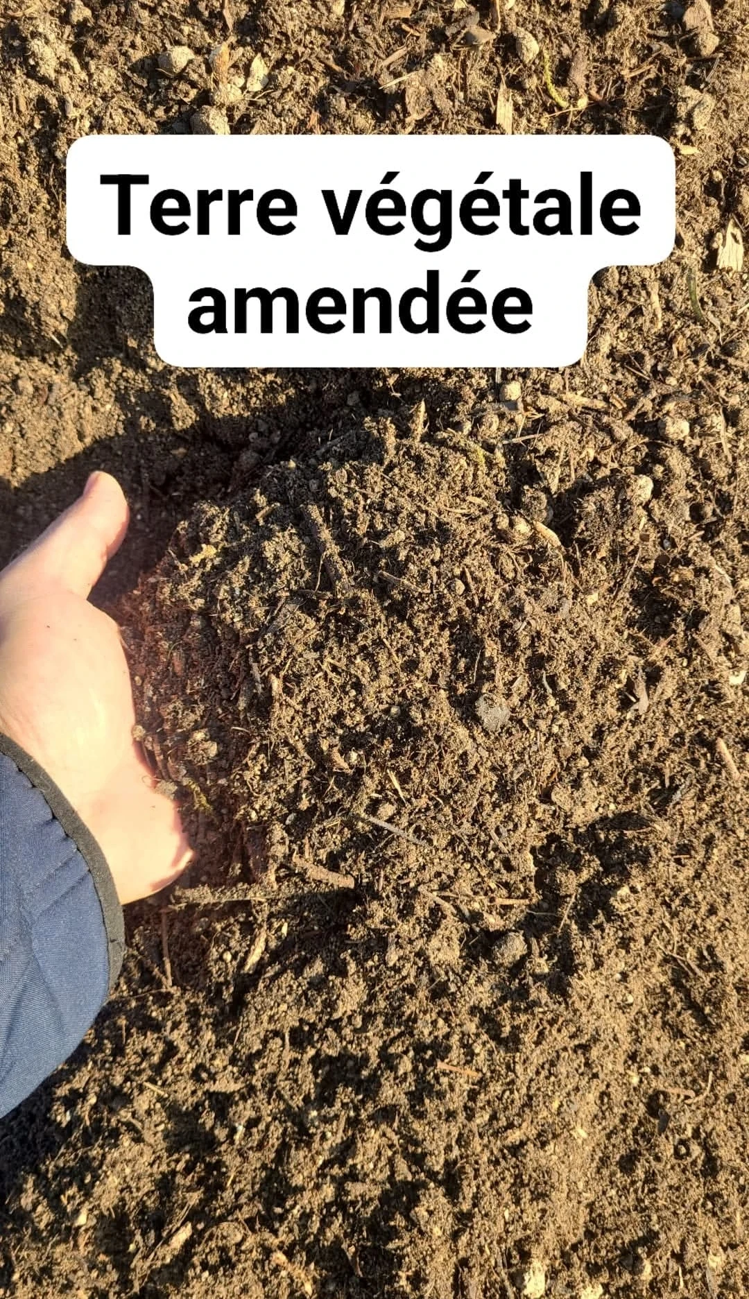 Terre vegetale amendee